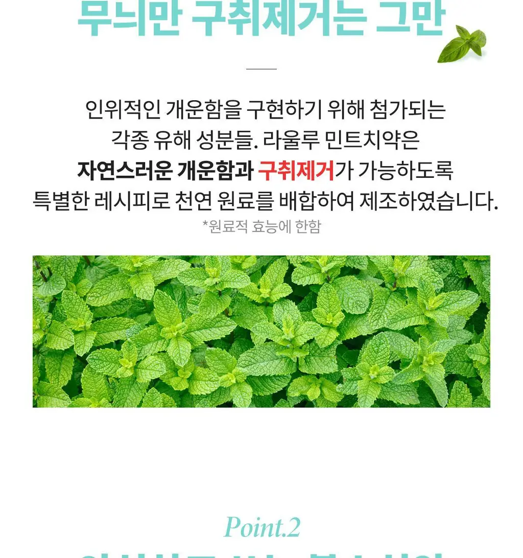 [불소 포함] 라울루 프레쉬 민트 치약 120g 상세페이지 11